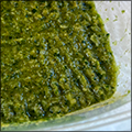 Green curry paste