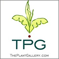 Plant Gallery