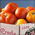 Creole Tomatoes