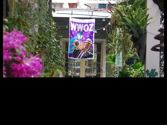 Tom’s flag in New Orleans, LA