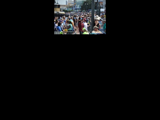 Crowds