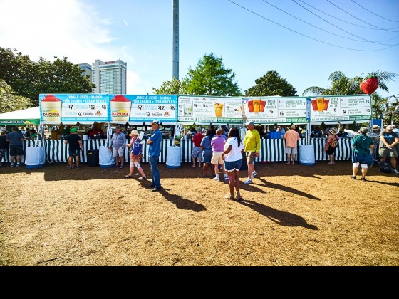 French Quarter Fest 2016. Photo by Eli Mergel.