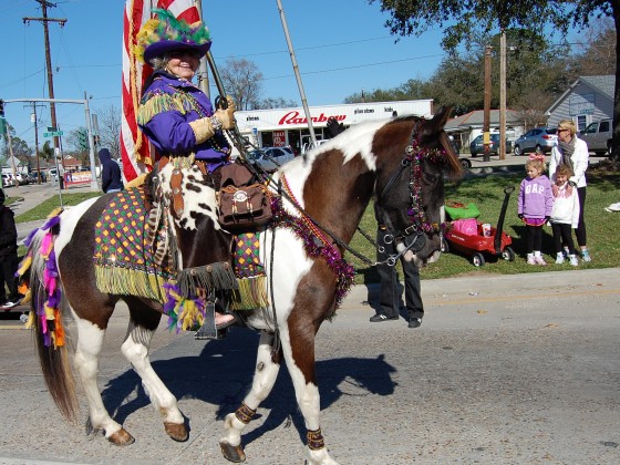 Lady on horseback