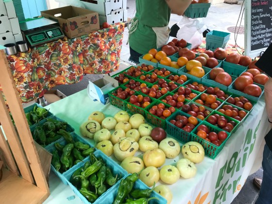 Creole Tomatoes