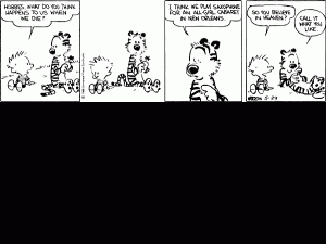 Calvin and Hobbes on living in New Orleans