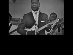 Muddy Waters