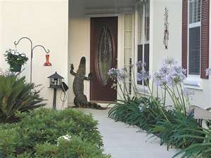 An alligator climbing up a front door