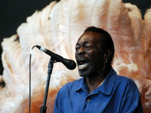 Big Chief Bo Dollis, Sr. onstage at Jazz Fest 2010 [Photo by Hunter King]