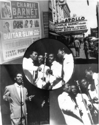 The Spiders at the Apollo