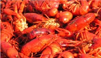 Crawfish at Jazz Fest